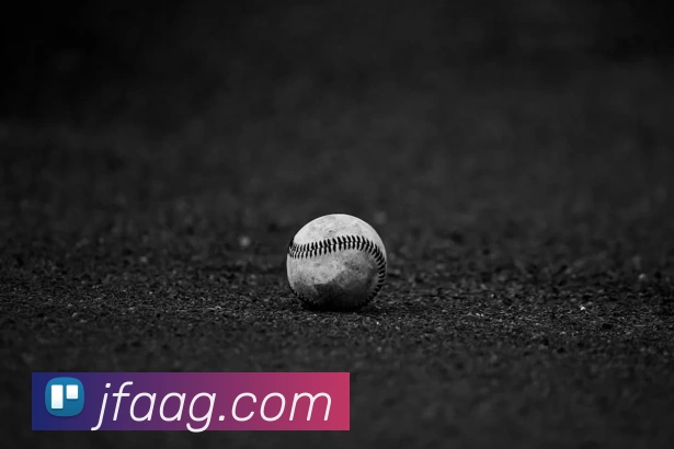 ag官网服务体系